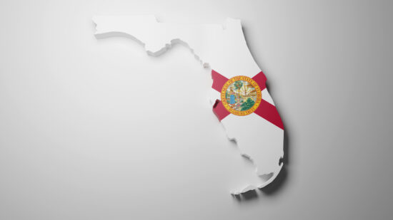 Bid Protests in Florida