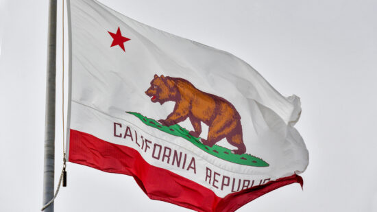 Bid Protests in California
