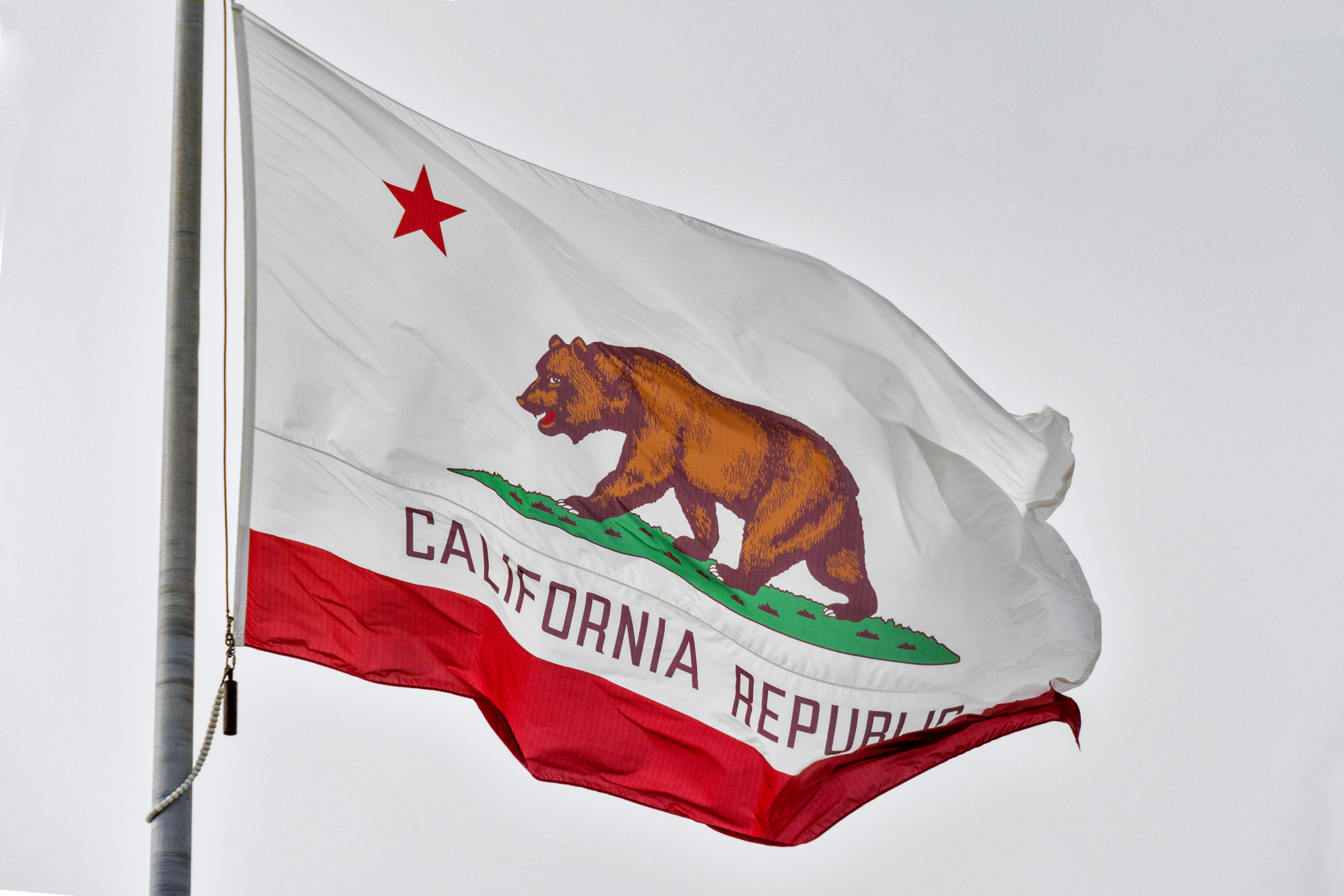 Bid Protests in California