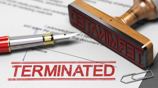 Your Government Contract Was Terminated for Convenience: What Should You Do Next?